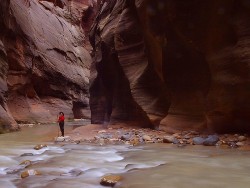 The Narrows, Zion
